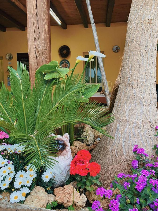 La Casa Di Anna Hotel Marsala Bagian luar foto